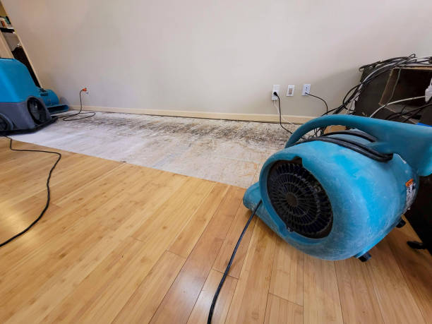 Professional Ceiling Water Damage Repair technician working in Essex, IL